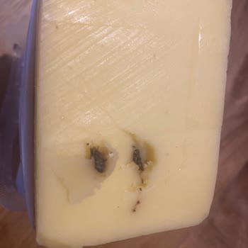 Sağlığı Tehdit Eden Kaşar Peyniri Deneyimi