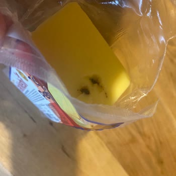 Sağlığı Tehdit Eden Kaşar Peyniri Deneyimi