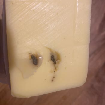 Sağlığı Tehdit Eden Kaşar Peyniri Deneyimi