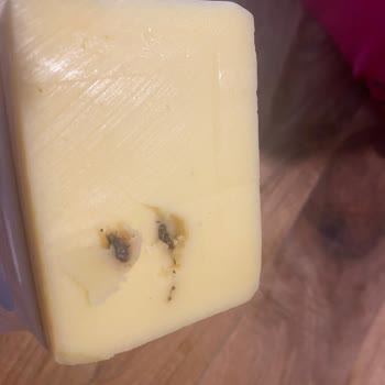 Sağlığı Tehdit Eden Kaşar Peyniri Deneyimi