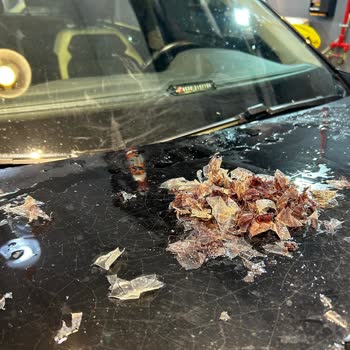 Volkswagen Damaged My T-Roc Paint With Poor Quality Hood Film