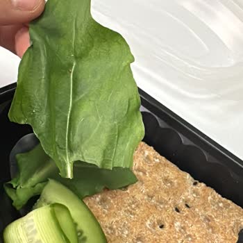 Diyet Merkezi Paket İçeriği Ve Hizmet Kalitesi Sorunu