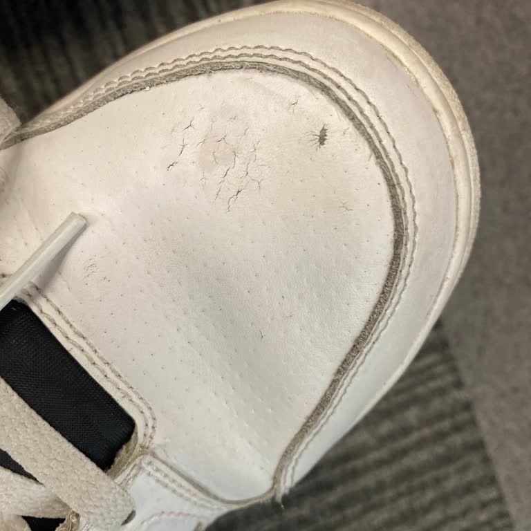 3 Ayda Çatlayan Ayakkabılar: Sneaks Up'tan Hayal Kırıklığı