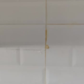 Bien Seramik Deprem Mağduru Aileye Eksik Hizmet Ve Bilgi Eksikliği