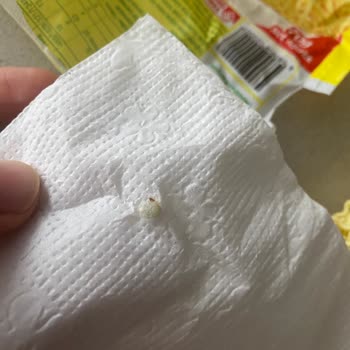 Hazır Noodle İçerisinde Kurt Şoku
