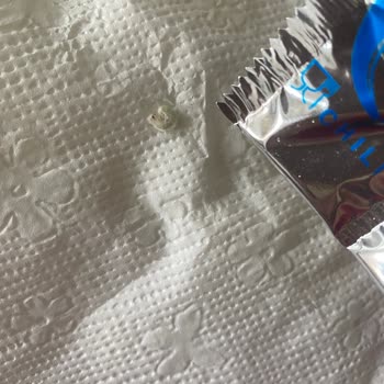 Hazır Noodle İçerisinde Kurt Şoku