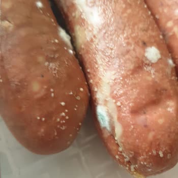 Küflü Sucuk Şoku: İnanılmaz Dikkatsizlik