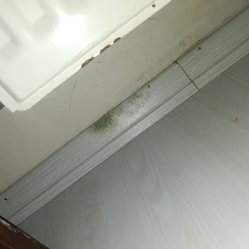 Ekspertiz Hataları Ve Sigorta Mağduriyeti