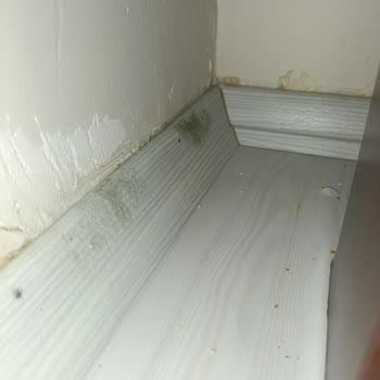 Ekspertiz Hataları Ve Sigorta Mağduriyeti