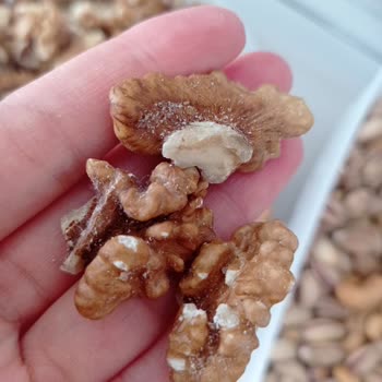 Fıstıkçı Şahap Bey Güveli Cevizler Ve Yanıtsız Müşteri Hizmetleri