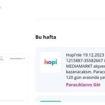 Hopi Kampanyasında Süregelen Sorunlar