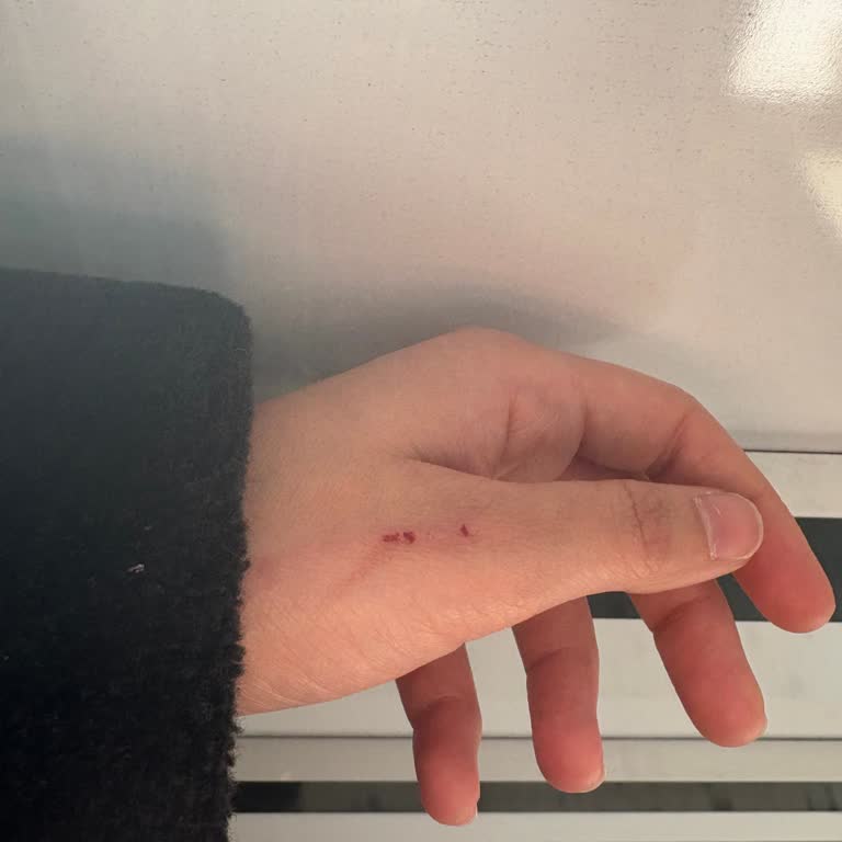 Sürat Kargo İadesinde Şaşırtıcı Ve Üzücü Deneyim