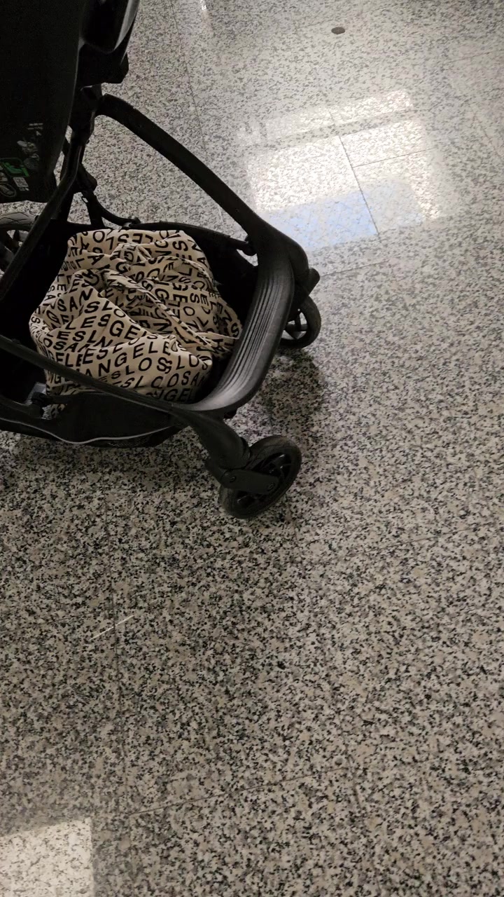 Chicco Stroller Front Wheels Jam, Making It Impossible to Maneuver video cover