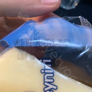 Binvezir Kaşar Peynirinde Küflenme Sorunu