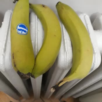 Olgunlaşmayan Muz Sorunu