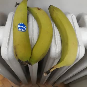 Olgunlaşmayan Muz Sorunu