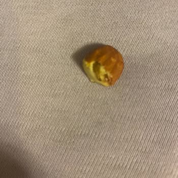 Hijyen Sorunları: Tatlıköy Ürünlerinde Kurt Ve Saç Teli