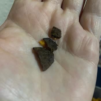 Doritos Paketinden Çıkan Şaşırtıcı Madde