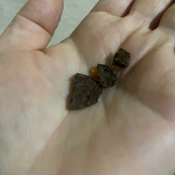 Doritos Paketinden Çıkan Şaşırtıcı Madde