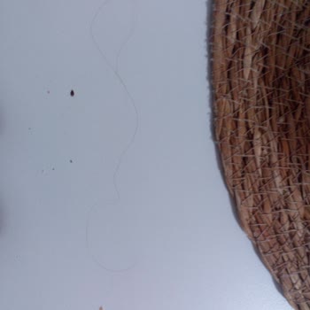 Hijyen Sorunu: McDonald's Siparişimde Saç Teli