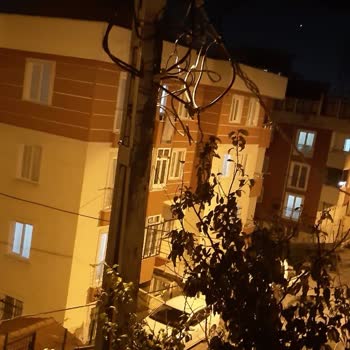 Tehlikeli Elektrik Direği: Acil Önlem Talebi