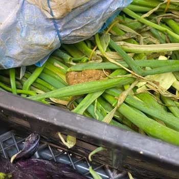 A101 Marketin Hijyen Sorunları Ve İlgisizlik