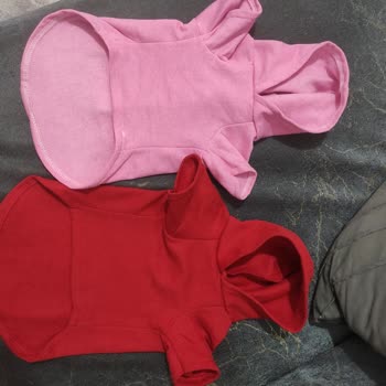 Monopetz Satıcısının Dikkatsiz Satışı