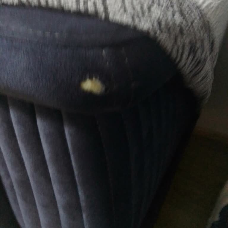 Kibarca Rica Ettikçe Dalga Geçiyorlar