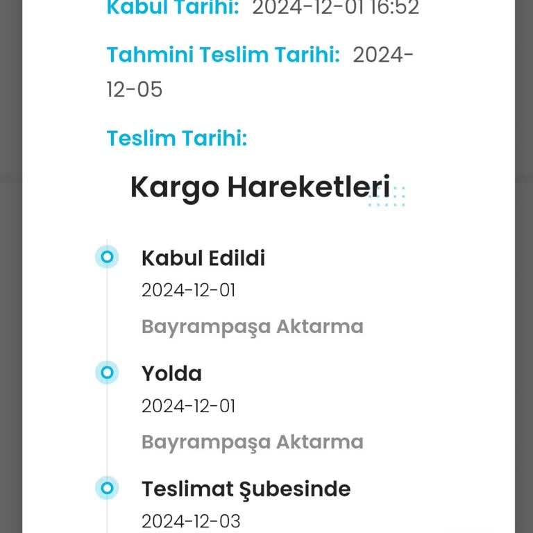 Kargoist'in Kargo Teslimatındaki Sorunları
