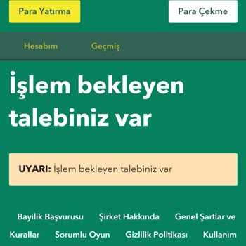 Kazandığım Parayı Çekemiyorum: FreeSpin Sorunu