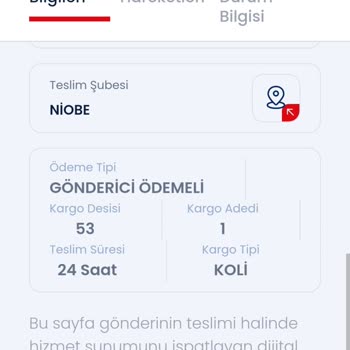 Kargom İzmir'de Bekliyor: Teslimat Sorunu Ve Hayal Kırıklığı
