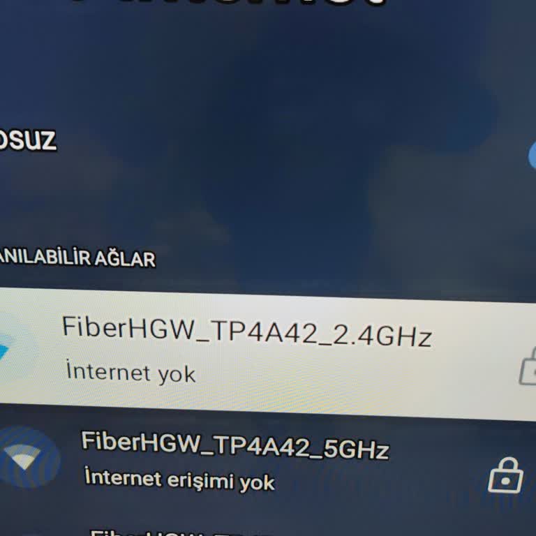 İnternet Erişimi Sorunu Ve Yetersiz Müşteri Desteği