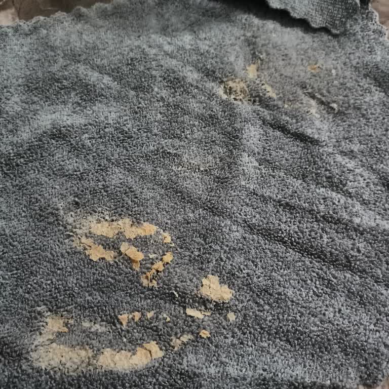 Kullanılmış Ürün Şoku: Carrefour SA'da Hayal Kırıklığı