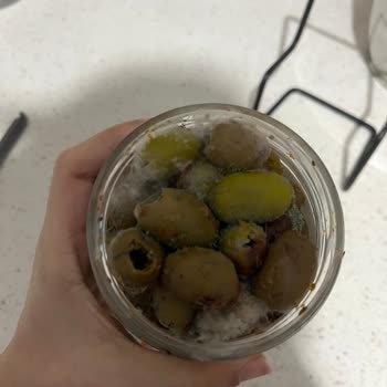 BİM'den Aldığımız Zeytin Küflü Çıktı: Kalite Kontrol Eksikliği