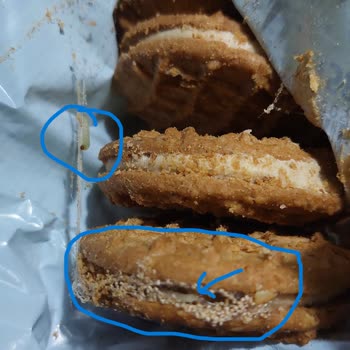 Bisküvide Kurt Şoku Ve Eti'nin Yetersiz İletişimi