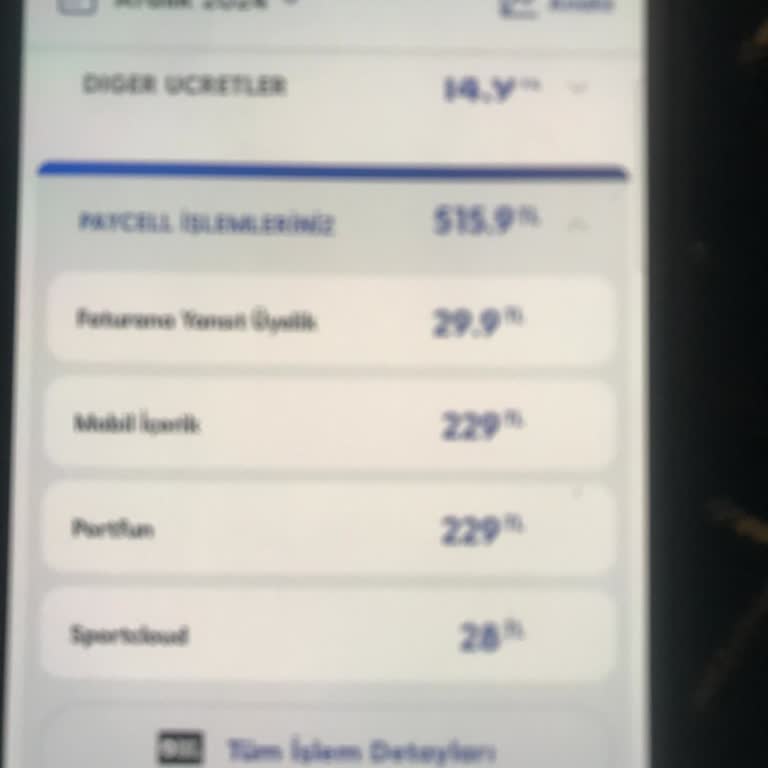 Yanlışlıkla Alınan Ücretlerin İadesi Talebi
