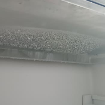 Siemens Buzdolabı Mağduriyeti: Sebzeler Çürüyor