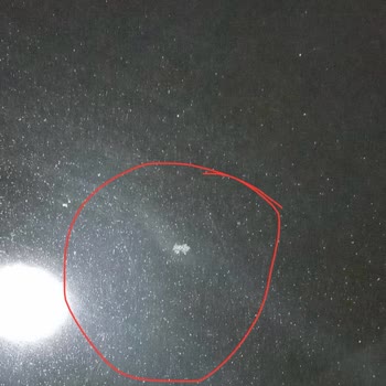 Renault Araç Teslimatında Yaşanan Güven Sorunu