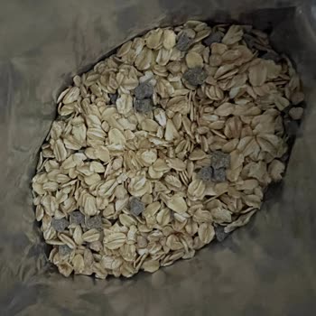 Küflü Hurma Ve Yer Fıstıklı Müsli Şoku