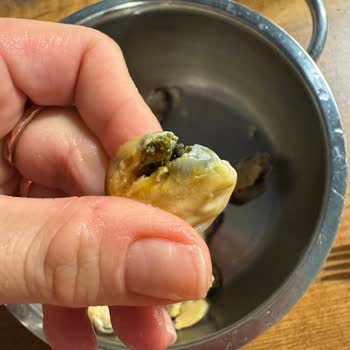 Hijyen Sorunu: Kıl Dolu Midyeler