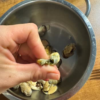 Hijyen Sorunu: Kıl Dolu Midyeler