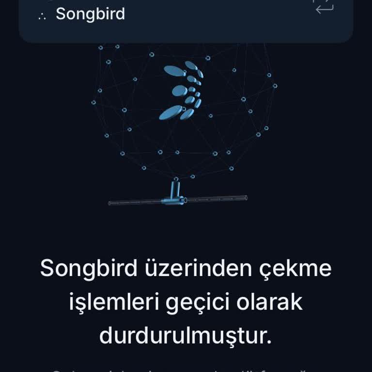 BTCTURK'te Songbird Coin Çekim Sorunu