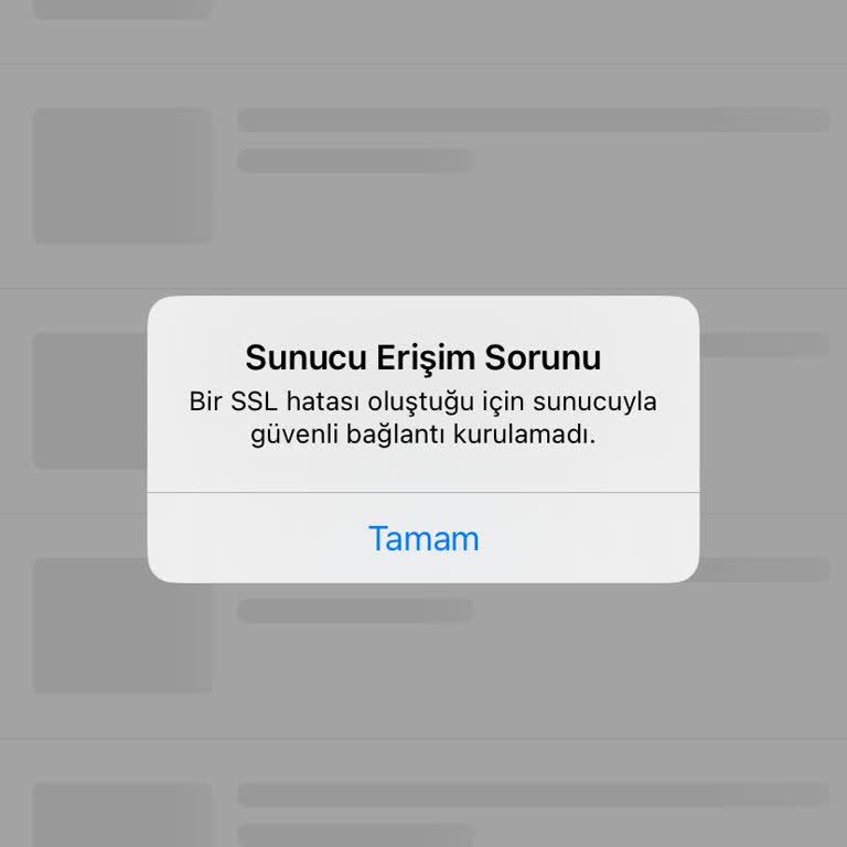 Sürekli Ağ Bağlantısı Ve Sunucu Erişim Sorunları