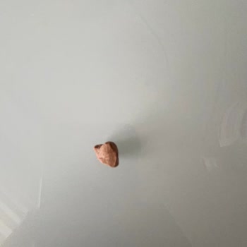 Helva İçinden Çıkan Taşla Şok Oldum