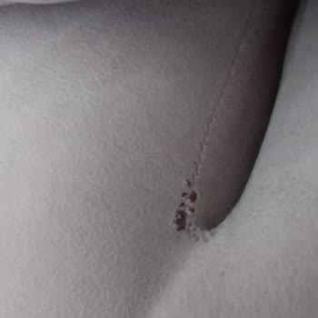 Kalitesiz Mobilya Ve İlgisiz Müşteri Hizmeti: Tüketici Hakları Mücadelesi