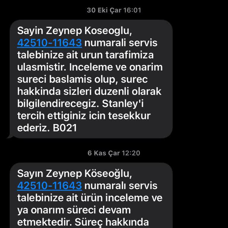 Termosum Kayıp: Kutup Ayısı'nın İlgisizliği Ve İletişim Sorunları