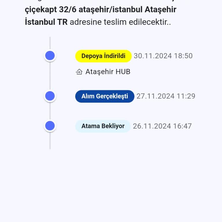 Bolt Kargo'nun Teslimat Sorunları Ve Karaca'nın İtibar Kaybı