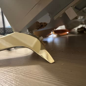 Konsolun Kendi Kendine Kırılması Ve Yaşanan Korku