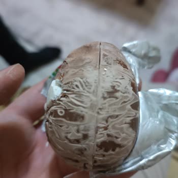 Ozmo Çikolatalarının Kalite Sorunu