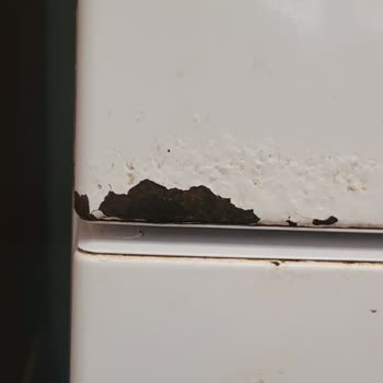 Vestel Buzdolabında Paslanma Sorunu Ve Servis İlgisizliği